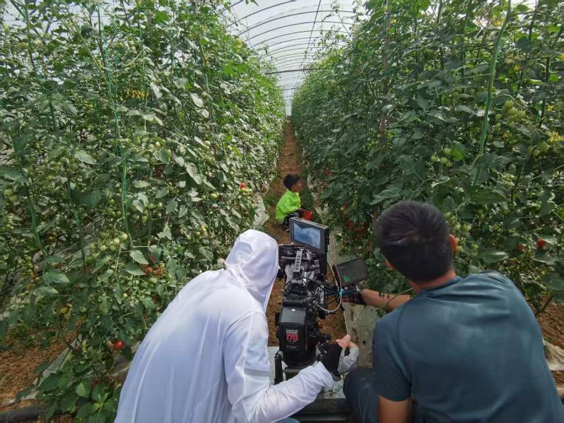 高效落地，达孜县TVC拍摄公司助力品牌抢占市场先机
